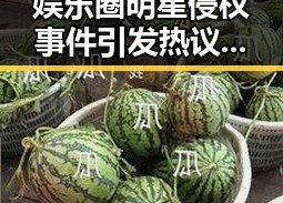 娱乐圈明星侵权事件引发热议：反思与警醒并存