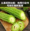 从幕后到台前：他用行动书写娱乐圈新篇章