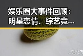 娱乐圈大事件回顾：明星恋情、综艺竞争与黑料揭秘