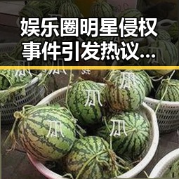 娱乐圈明星侵权事件引发热议：反思与警醒并存