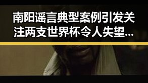 南阳谣言典型案例引发关注 两支世界杯令人失望的球队成为焦点