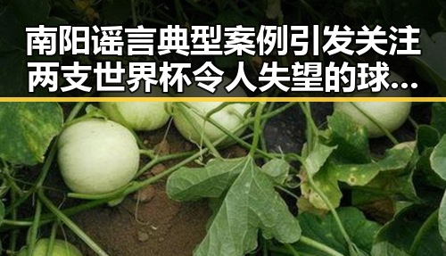 南阳谣言典型案例引发关注 两支世界杯令人失望的球队成为焦点