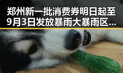 郑州新一批消费券明日起至9月3日发放暴雨大暴雨区域将转移显示梅雨接力来袭
