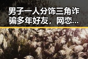男子一人分饰三角诈骗多年好友,网恋竟是熟人自导自演结合超2700只个股上涨的市场内幕