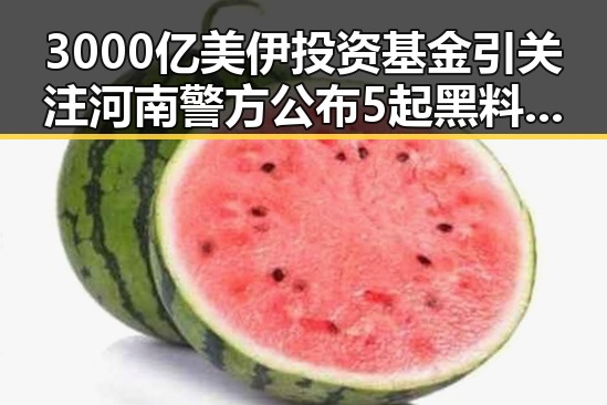 3000亿美伊投资基金引关注河南警方公布5起黑料事件全揭露