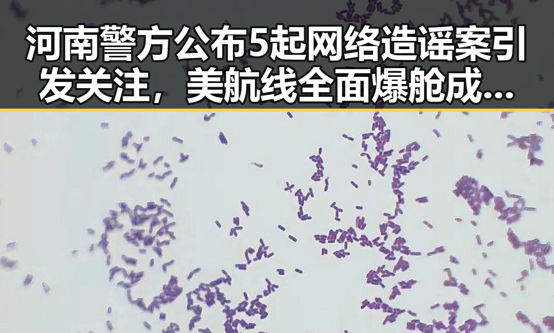 河南警方公布5起网络造谣案引发关注,美航线全面爆舱成为新焦点